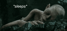 Sleep Sleeps GIF - Sleep Sleeps Gollum GIFs