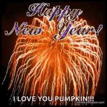 Happy New Year Fireworks GIF - Happy New Year Fireworks I Love Pumpkin GIFs