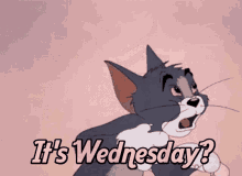 its wednesday tom and jerry shocked tom gasp