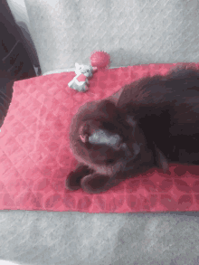 Michi1 GIF - Michi1 GIFs