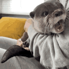 Otter Sakthi GIF - Otter Sakthi Yawn GIFs