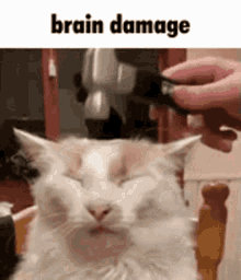 Brain Damage GIF - Brain Damage GIFs
