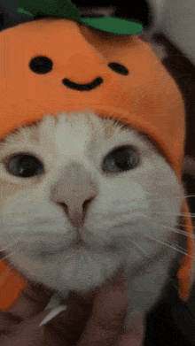a white cat wearing an orange hat with a smiley face