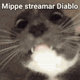 Mippe Streamar Mippe Diablo GIF