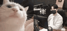 Youngk Youngk Cat Jam GIF