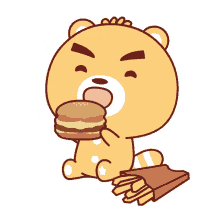 hamburger eat cute adorable raccoon