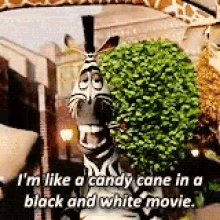 Madagascar Candy Cane GIF - Madagascar Candy Cane Black And White Movie GIFs