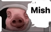 a picture of a pig with a speech bubble saying mish