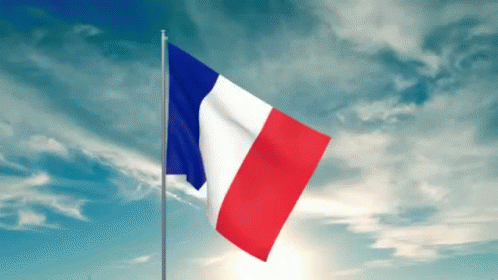 french-flag-drapeau-francais.gif
