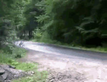 a road that is going through a forest with trees on both sides