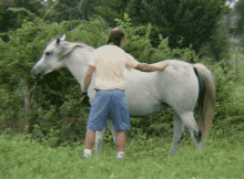 Horse Pet GIF