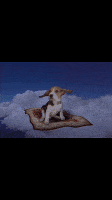 a beagle puppy is sitting on a flying carpet in the sky