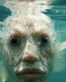 a fish that looks like a man is swimming in the ocean