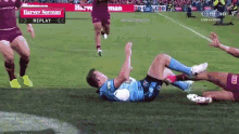 Ted Sport GIF - Ted Sport Rugby GIFs
