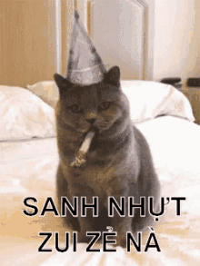 Mèo Sinhnhậtvuivẻ Sanhnhựtzuizẻ Chúcmừngsinhnhật Sinhnhật Chúcmừng Vuivẻ GIF - Cat Happy Birthday Birthday Celebration GIFs