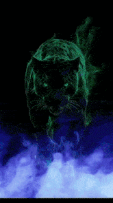 a painting of a black panther with green eyes and the name lyj