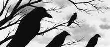 a black and white photo of birds sitting on a tree branch