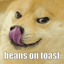 Beans On GIF - Beans On Toast GIFs