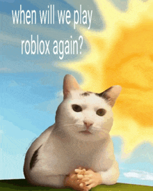 a picture of a cat with the words " when will we play roblox again " written above it