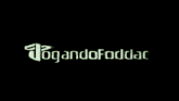 Jogandofoddaci Dark Souls GIF
