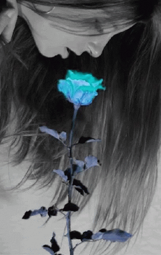 blue girl rose