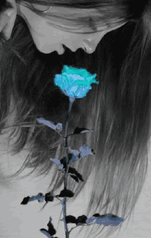 blue rose girl flashing