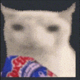 Cat Cat Meme GIF - Cat Cat Meme Cat Meme Face GIFs