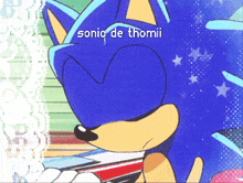 a picture of sonic the hedgehog with the words sonic de thomii written on it