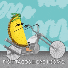 Taco Food GIF - Taco Food Motorcycle GIFs