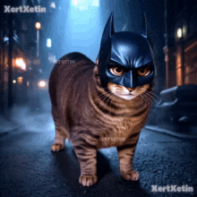 a cat wearing a batman mask with the name kertxetin on the bottom