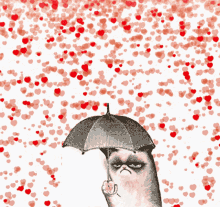 Valentine Grumpy Cat GIF - Valentine Grumpy Cat Umbrella GIFs