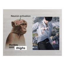 a picture of a monkey and a picture of a man with the words " neuron activation " on the bottom