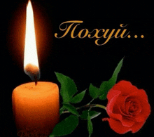 a candle is lit next to a red rose with the word toxyu written on the bottom