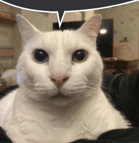 Canny Cat Uncanny Cat GIF - Canny cat Uncanny cat Speech bubble ...