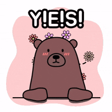 brown bear yes agreed ok