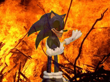 sonic the hedgehog standing in front of a fire