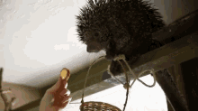 Yes Please, And Thank You GIF