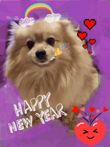 Happy New Year Everyone!