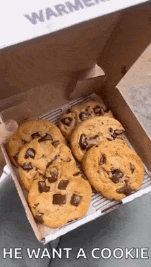 Insomnia Cookies Chocolate Chunk Cookies GIF