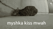 myshka brickhill kiss