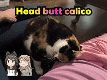 a calico cat is laying on a person 's lap with the words head butt calico above it