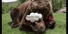 Muachh GIF - Beruang Bear Beruang Peluk Manusia GIFs