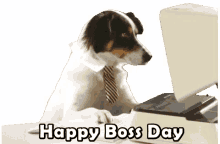 happy boss day boss day office dog funny animals