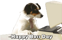 Happy Boss Day Office Dog Sticker - Happy Boss Day Boss Day Office Dog Stickers