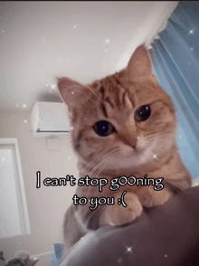 a cat with a caption that says " i can 't stop goofing to you "