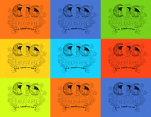 a collage of eight different colored logos with the letters ccs