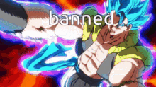 Gogeta Banned GIF - Gogeta Banned Ban GIFs