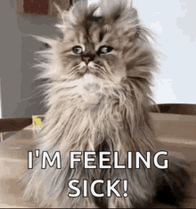 feeling sick funny pictures