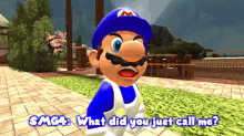 Smg4 What Did You Just Call Me GIF - Smg4 What Did You Just Call Me What Did You Call Me GIFs