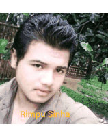 Rimpu Sinha Sticker - Rimpu Sinha Stickers